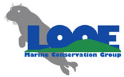 LMGC Logo
