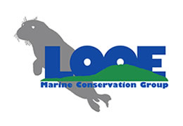 LMCG logo