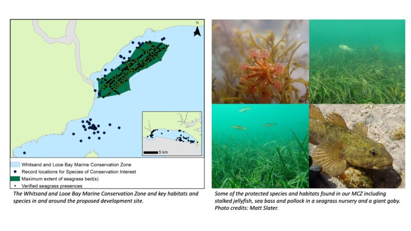 Seagrass map and MCZ photos