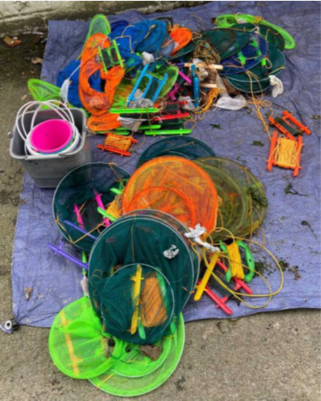Crab line plastics organised into types displayed on a blue mat. Circular nets at the front, then buckets and crab lines behind.